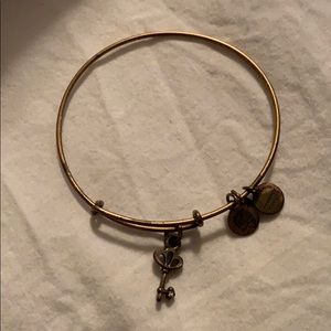 Alex and Ani Key Bracelet